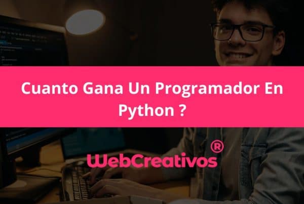 Cuanto Gana Un Programador En Python